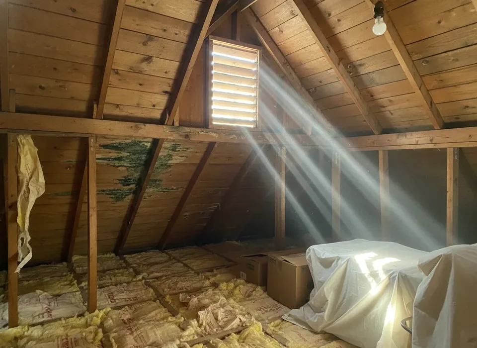 Mold staining on attic roof sheathing near the eaves